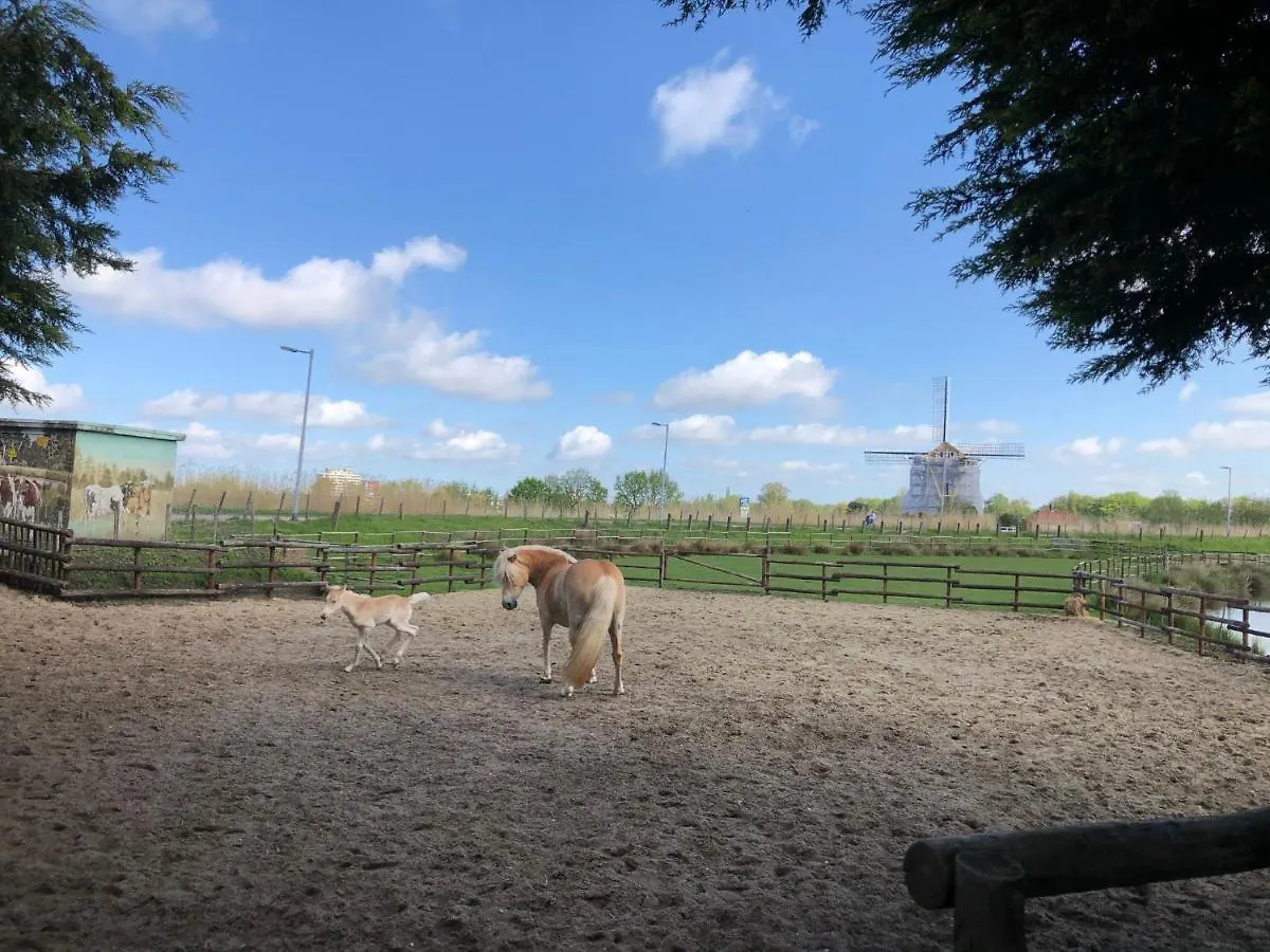 Chalet Aan De Rotte Rotterdam 0*,  Niederlande